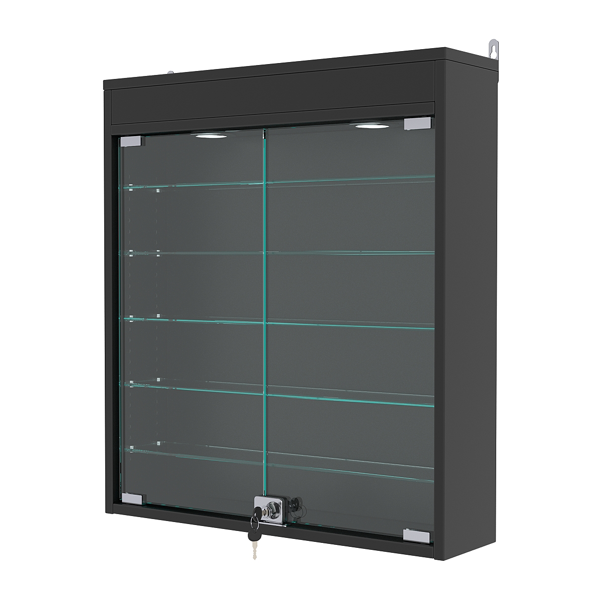 Витрина настенная с регулировочными полками №1-7А-РЕГ с подсветкой, Черный