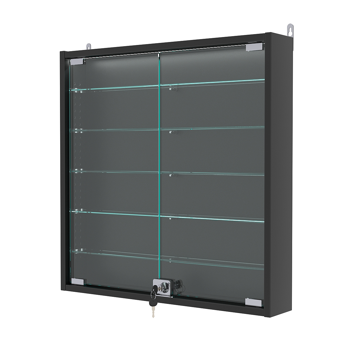 Витрина настенная с регулировочными полками №1-7АУ-РЕГ с подсветкой, Черный
