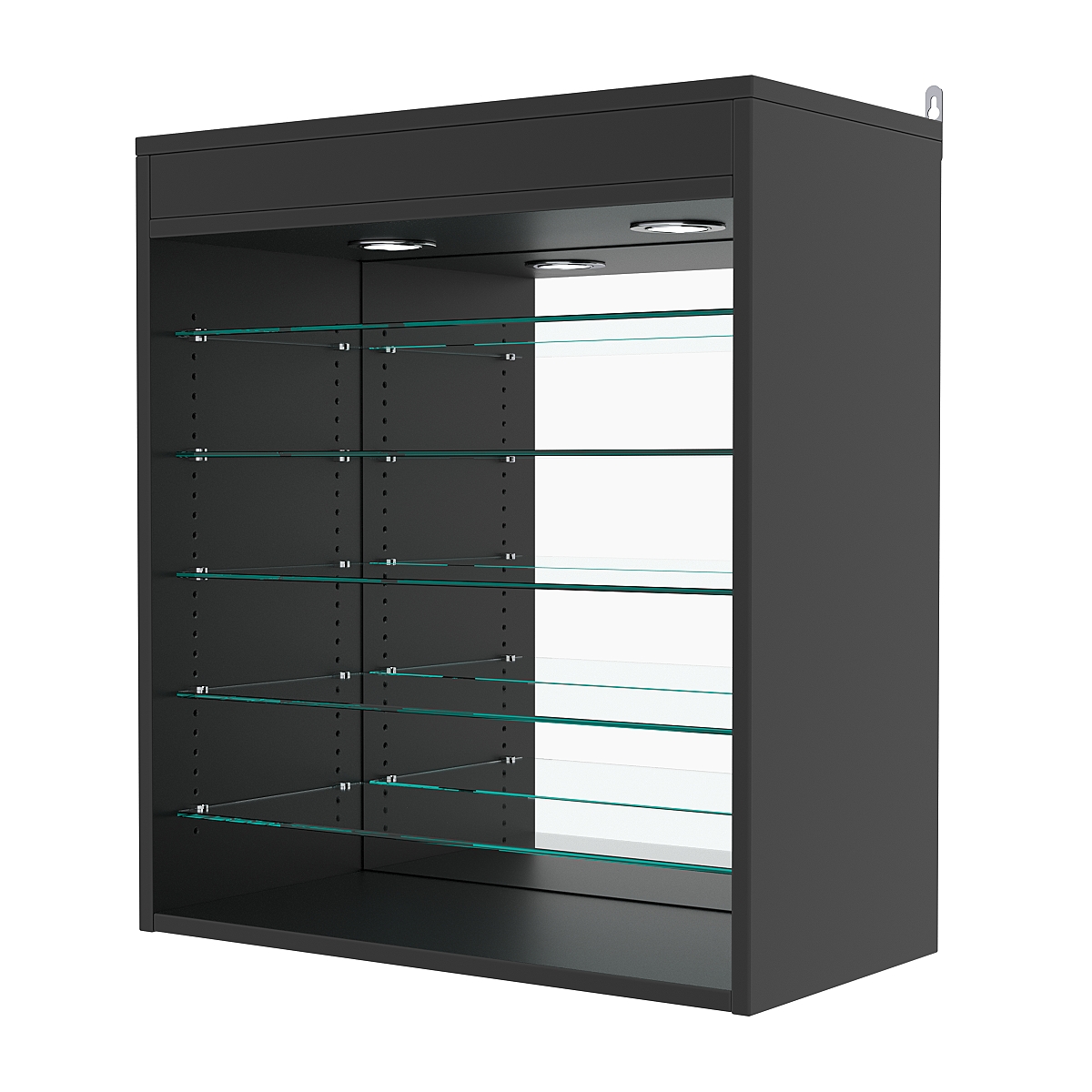 Витрина настенная с регулировочными полками №1-8ГГ-РЕГ с зеркалом и с подсветкой, Черный