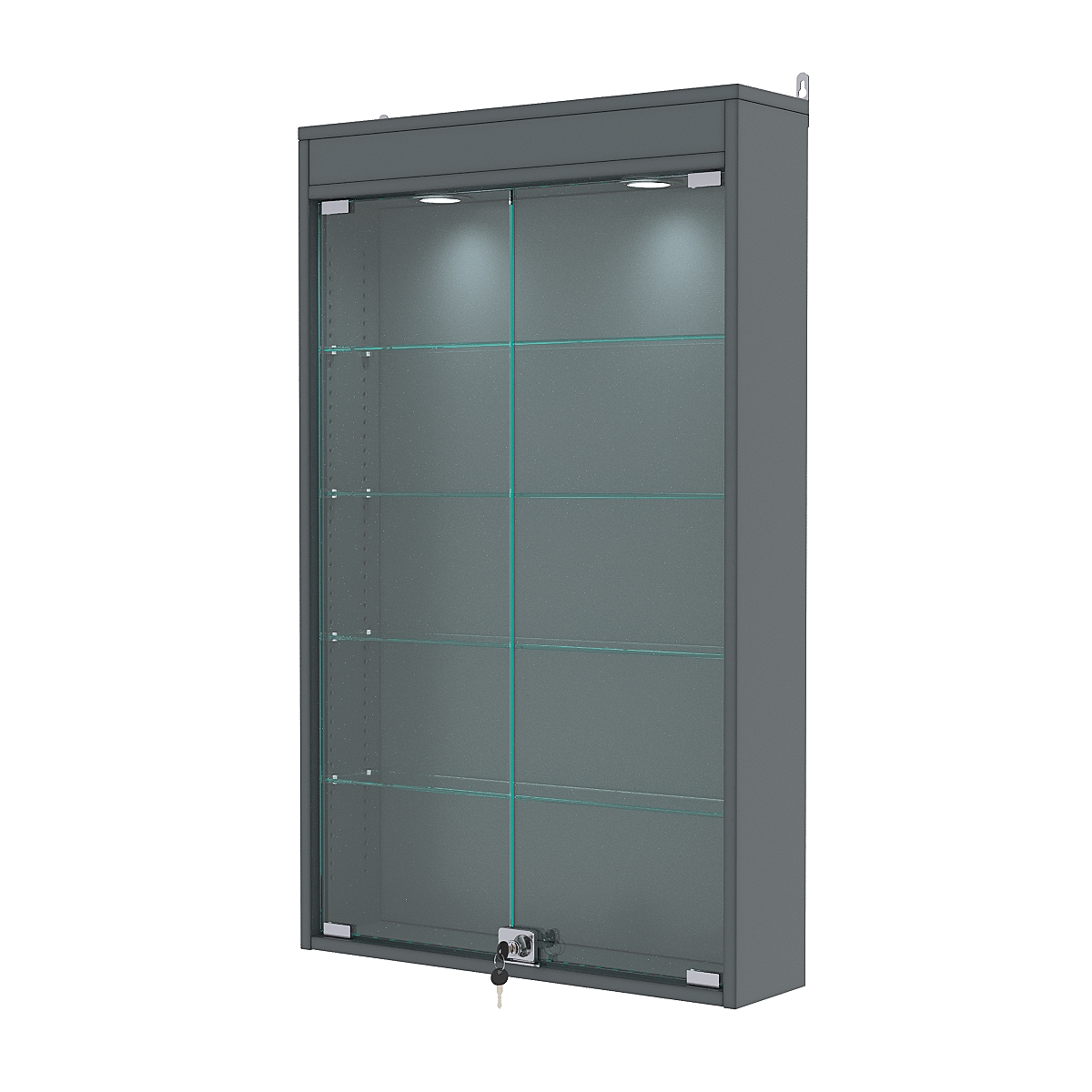 Витрина настенная с регулировочными полками №2-3А-РЕГ с подсветкой, Темно-Серый
