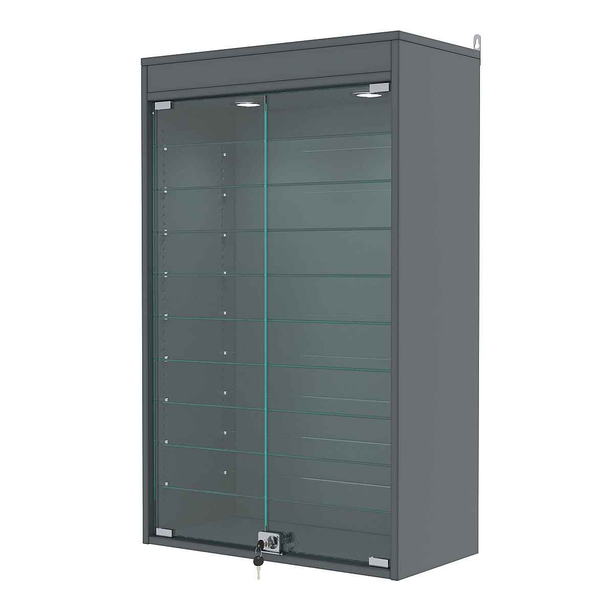 Витрина настенная с регулировочными полками №2-7АГ-РЕГ с подсветкой, Темно-Серый