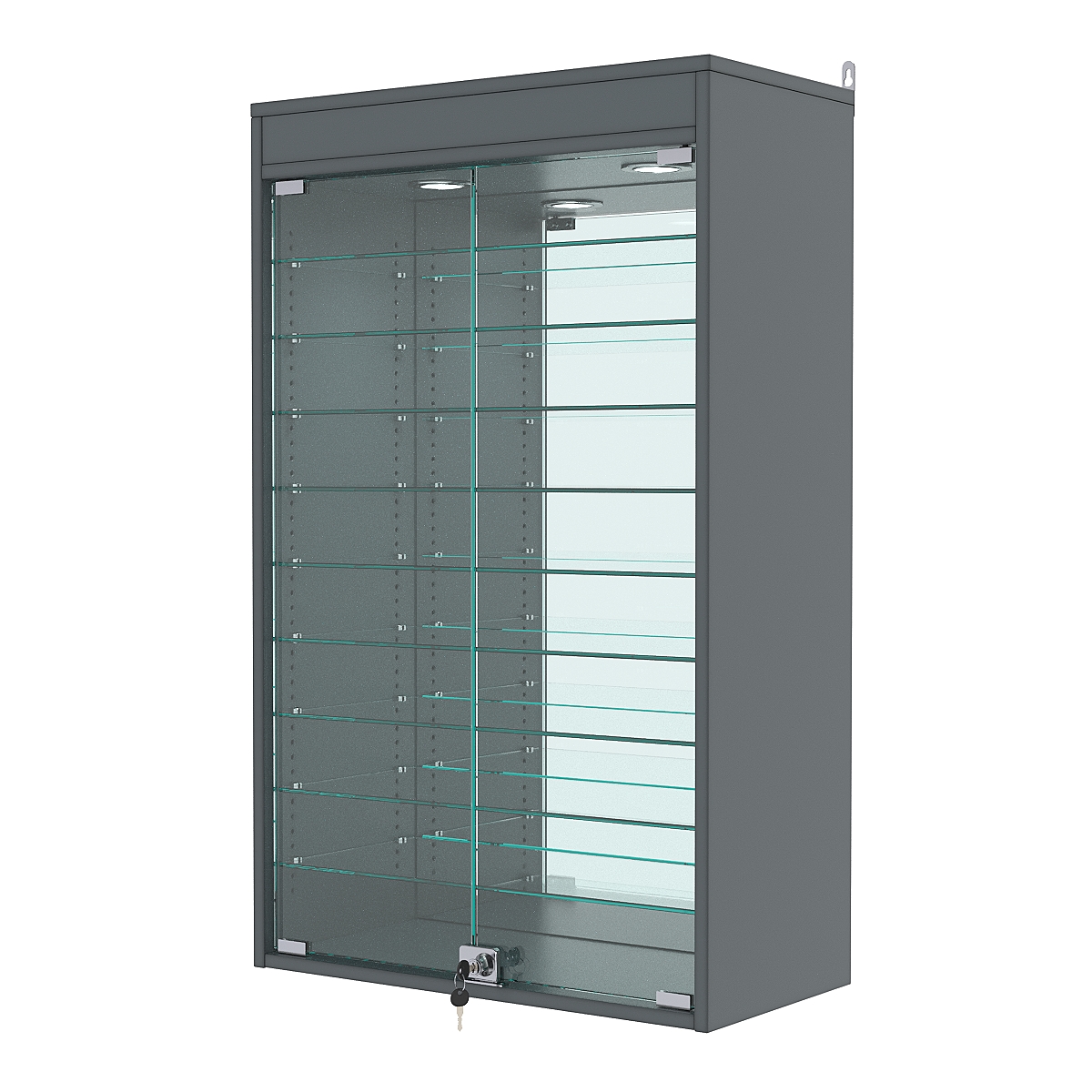 Витрина настенная с регулировочными полками №2-8АГ-РЕГ с зеркалом и с подсветкой, Темно-Серый