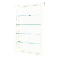 Витрина настенная с регулировочными полками №2-4ГУ-РЕГ с зеркалом и с подсветкой, Белый