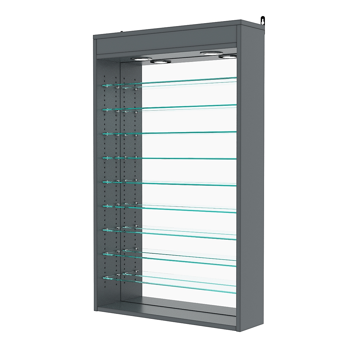 Витрина настенная с регулировочными полками №2-8Г-РЕГ с зеркалом и с подсветкой, Темно-Серый