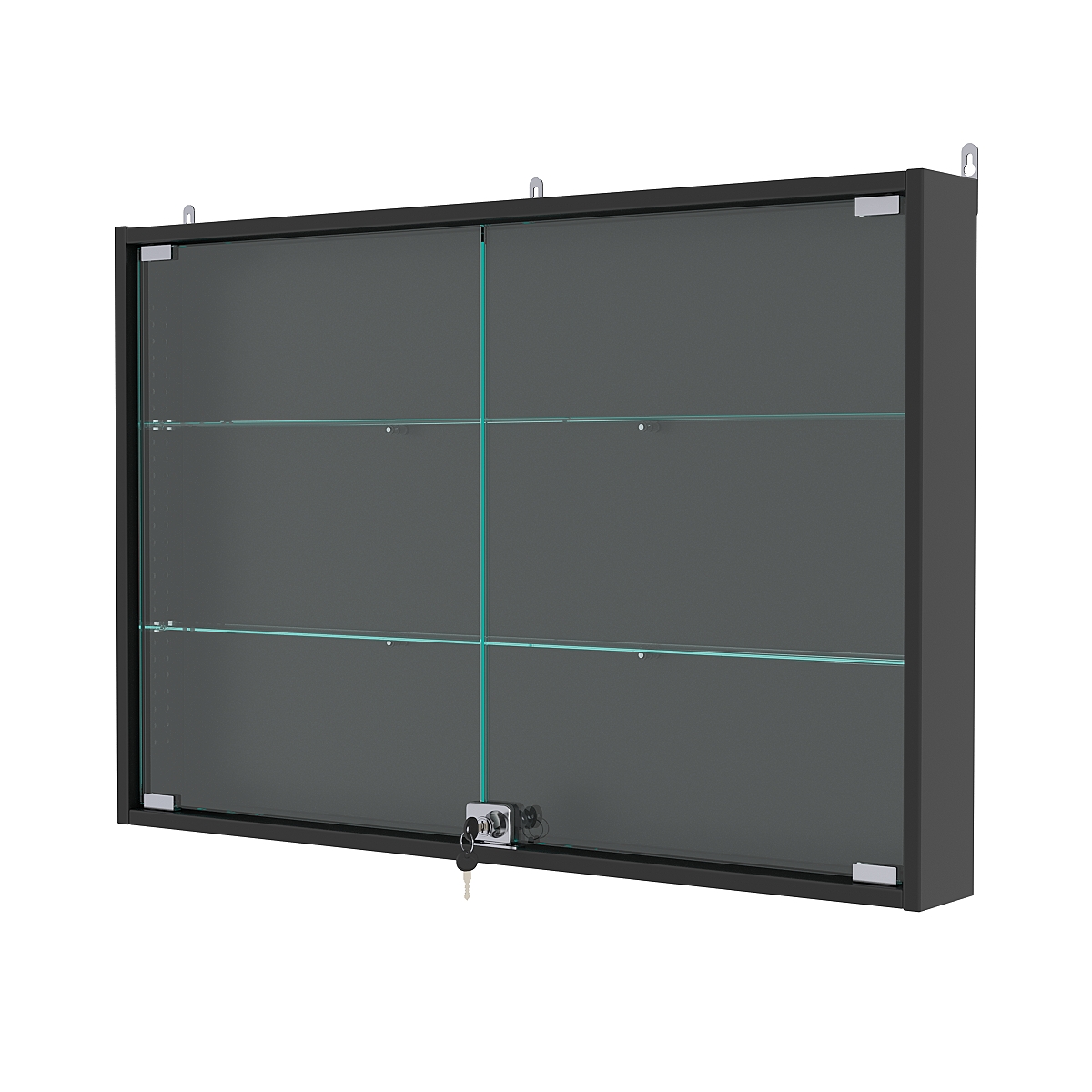 Витрина настенная с регулировочными полками №3-1АУ-РЕГ, Черный