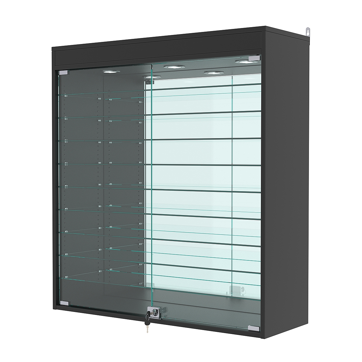 Витрина настенная с регулировочными полками №4-8АГ-РЕГ с зеркалом и с подсветкой, Черный