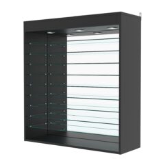 Витрина настенная с регулировочными полками №4-8ГГ-РЕГ с зеркалом и с подсветкой, Черный