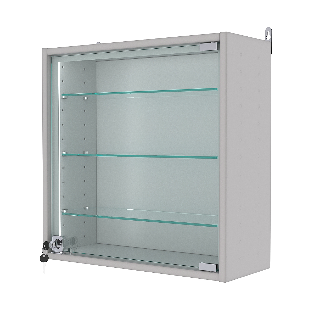 Витрина настенная с регулировочными полками МИНИ 50*50*20-РЕГ-П, Серый