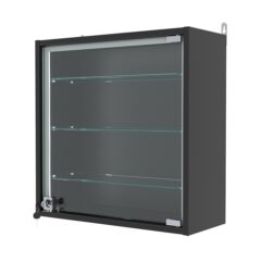 Витрина настенная с регулировочными полками МИНИ 50*50*20-РЕГ-П, Черный