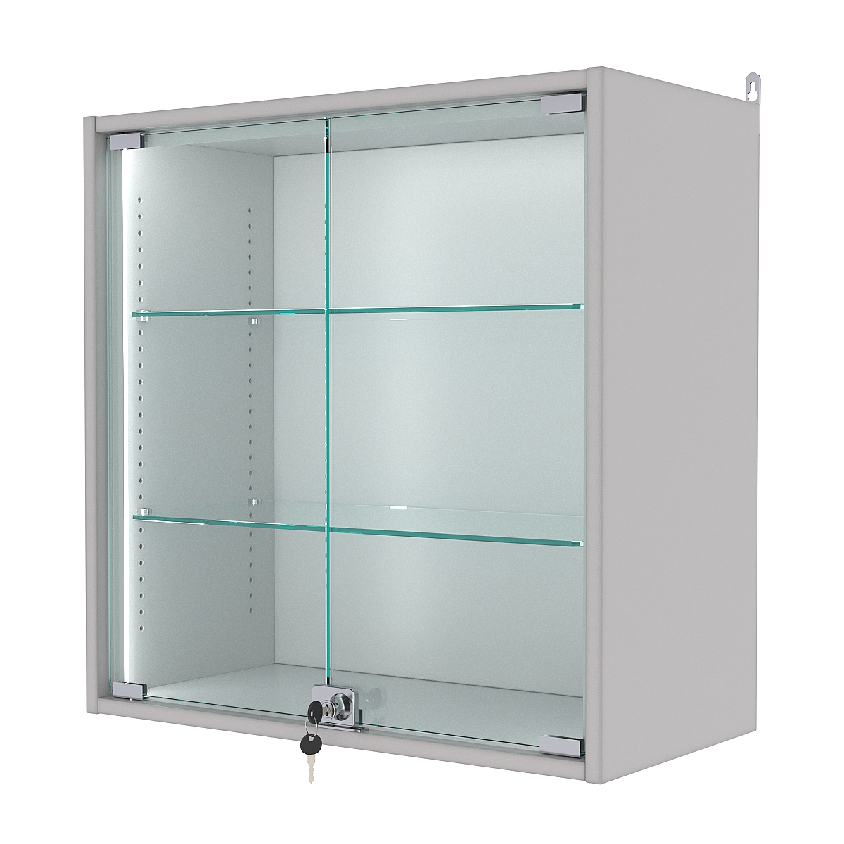 Витрина настенная с регулировочными полками №1-1АГ-РЕГ-П, Серый