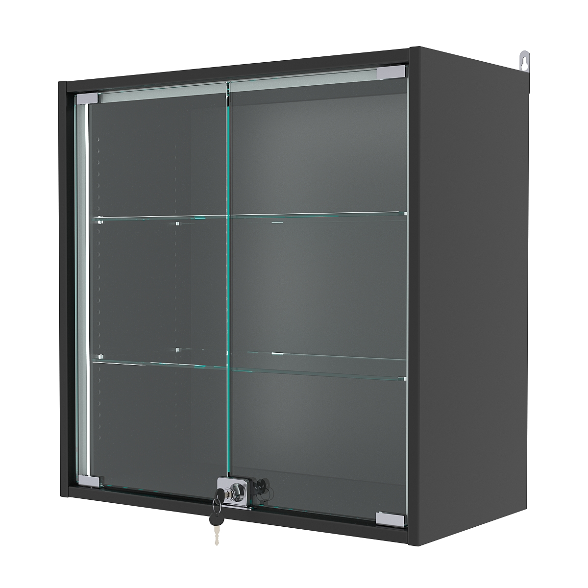Витрина настенная с регулировочными полками №1-1АГ-РЕГ-П, Черный