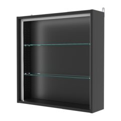 Витрина настенная с регулировочными полками №1-1Г-РЕГ-П, Черный