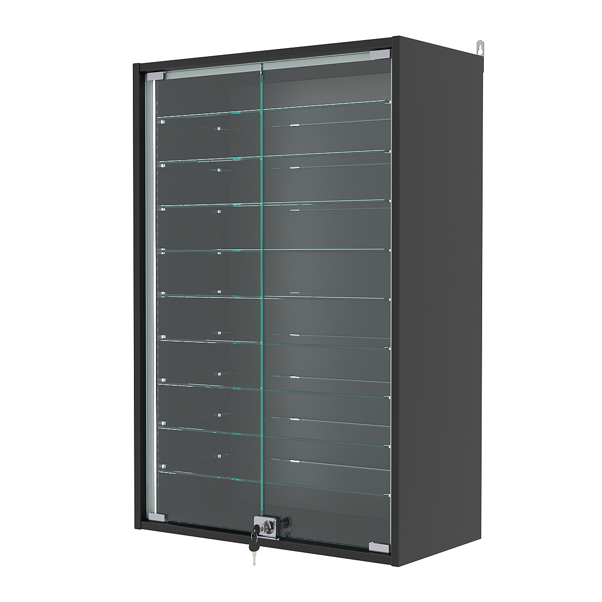 Витрина настенная с регулировочными полками №2-5АГ-РЕГ-П, Черный