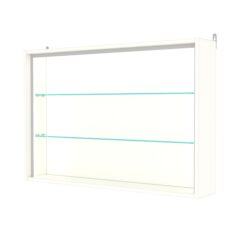 Витрина настенная №3-1Г-П, Белый