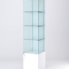 Витрина АСТЕРИЯ №2 (с дверкой, задняя стенка - ДСП), Белый