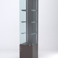 Витрина АСТЕРИЯ №2 (с дверкой, задняя стенка - ДСП), Дуб Венге