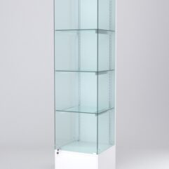 Витрина АСТЕРИЯ №10 (с дверкой, задняя стенка - ДСП), Белый