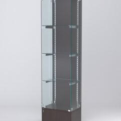 Витрина АСТЕРИЯ №18 (с дверкой, задняя стенка - ДСП), Дуб Венге