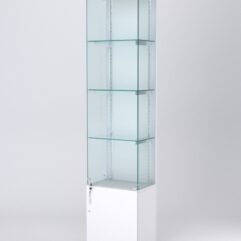 Витрина АСТЕРИЯ №22 (с дверкой, задняя стенка - ДСП), Белый