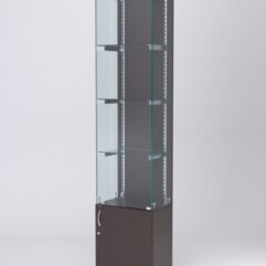 Витрина АСТЕРИЯ №22 (с дверкой, задняя стенка - ДСП), Дуб Венге