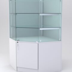 Витрина АСТЕРИЯ угловая №5 (с дверкой, задняя стенка - ДСП), Белый