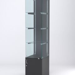 Витрина АСТЕРИЯ №2 (с дверкой, задняя стенка - ДСП), Черный