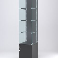 Витрина АСТЕРИЯ №6 (с дверкой, задняя стенка - ДСП), Черный