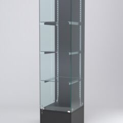 Витрина АСТЕРИЯ №10 (с дверкой, задняя стенка - ДСП), Черный