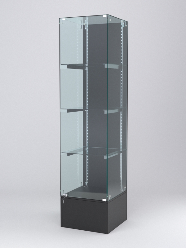 Витрина АСТЕРИЯ №10 (с дверкой, задняя стенка - ДСП), Черный