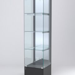 Витрина АСТЕРИЯ №12 (с дверкой, задняя стенка - зеркало), Черный