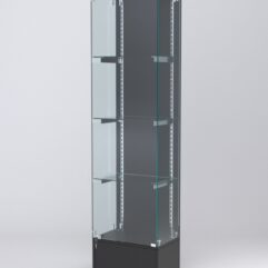 Витрина АСТЕРИЯ №18 (с дверкой, задняя стенка - ДСП), Черный