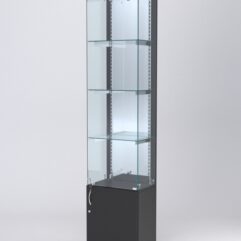 Витрина АСТЕРИЯ №24 (с дверкой, задняя стенка - зеркало), Черный