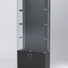 Витрина АСТЕРИЯ №25 (с дверками, задняя стенка - ДСП), Черный