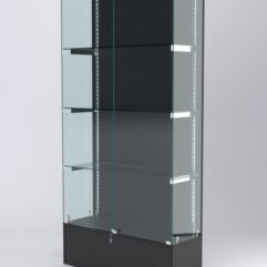 Витрина АСТЕРИЯ №29 (с дверками, задняя стенка - ДСП), Черный