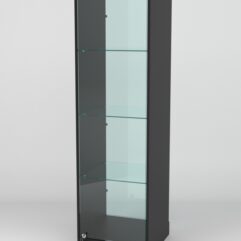 Витрина АСТРА ХИТ ПРОДАЖ №1 (с дверкой, задняя стенка - стекло), Черный