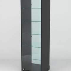 Витрина АСТРА ХИТ ПРОДАЖ №501 (с дверкой, задняя стенка - стекло), Черный