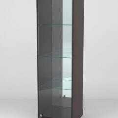 Витрина АСТРА ХИТ ПРОДАЖ №3 (с дверкой, задняя стенка - зеркало), Дуб Венге