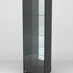 Витрина АСТРА ХИТ ПРОДАЖ №3 (с дверкой, задняя стенка - зеркало), Черный