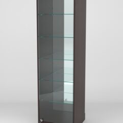 Витрина АСТРА ХИТ ПРОДАЖ №503 (с дверкой, задняя стенка - зеркало), Дуб Венге