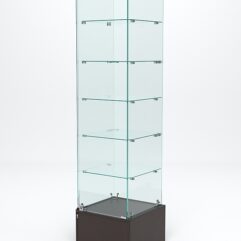 Витрина стеклянная ИСТРА ПОДИУМ №510 (с дверкой, задняя стенка - стекло), Дуб Венге