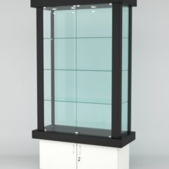 Витрина ЭЛИТА №2-1 (задняя стенка - стекло), Черный-Белый