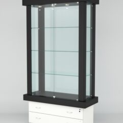 Витрина ЭЛИТА №2-2 (задняя стенка - стекло), Черный-Белый