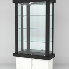 Витрина ЭЛИТА №3-1 (задняя стенка - зеркало), Черный-Белый