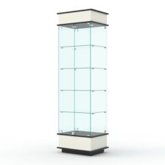 Витрина ФАНТАЗИЯ №2-1 (задняя стенка - стекло), Белый и Черный