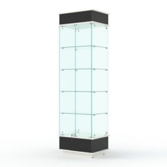 Витрина ФАНТАЗИЯ №2-1 (задняя стенка - стекло), Черный и Белый